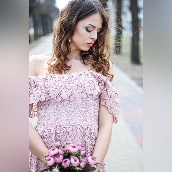 H&M Off-the-shoulder blush lace dress sz 6 - Picture 2 of 16